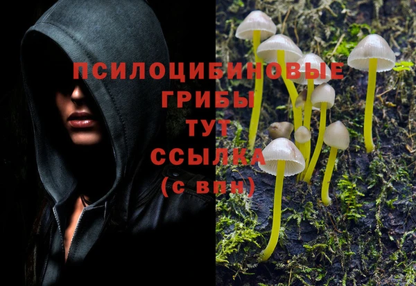 прущая мука Балабаново