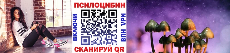 Псилоцибиновые грибы прущие грибы  где купить наркоту  Новое Девяткино 