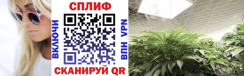 хочу   Новое Девяткино  Бошки марихуана THC 21% 